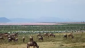 la terra dei masai