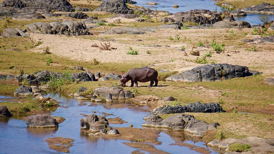sudafrica e mozambico fai da te