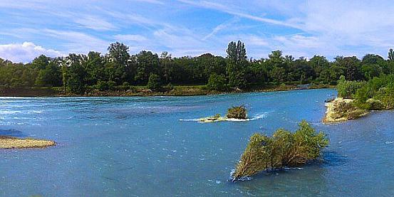 il fiume reno nei pressi di bad bellingen baden-wüttemberg