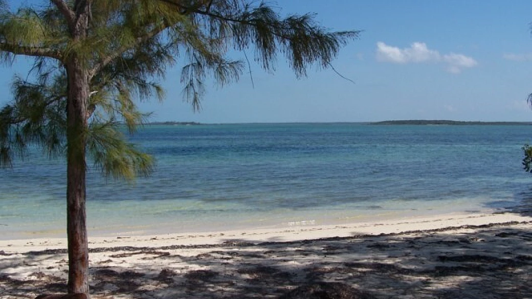 meravigliosa long island