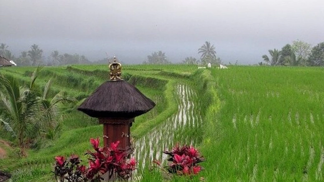 indonesia on the road