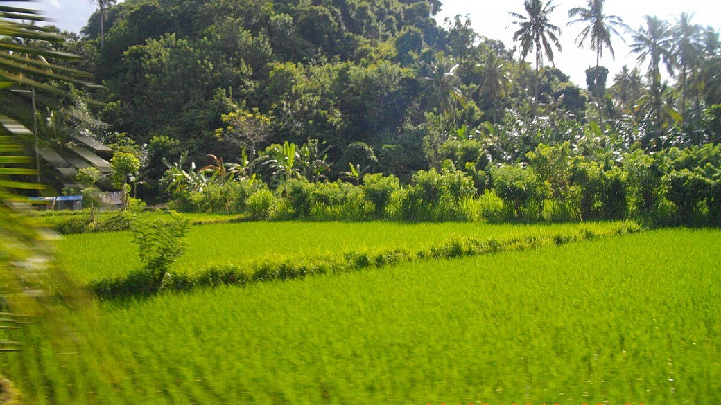 indonesia adventure: templi, vulcani, mare, bali, gili, flores e komodo national park