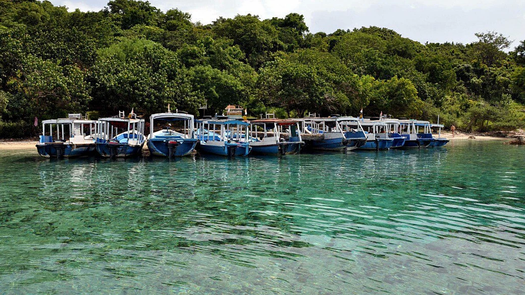 il profumo inebriante del frangipane: indonesia 2010