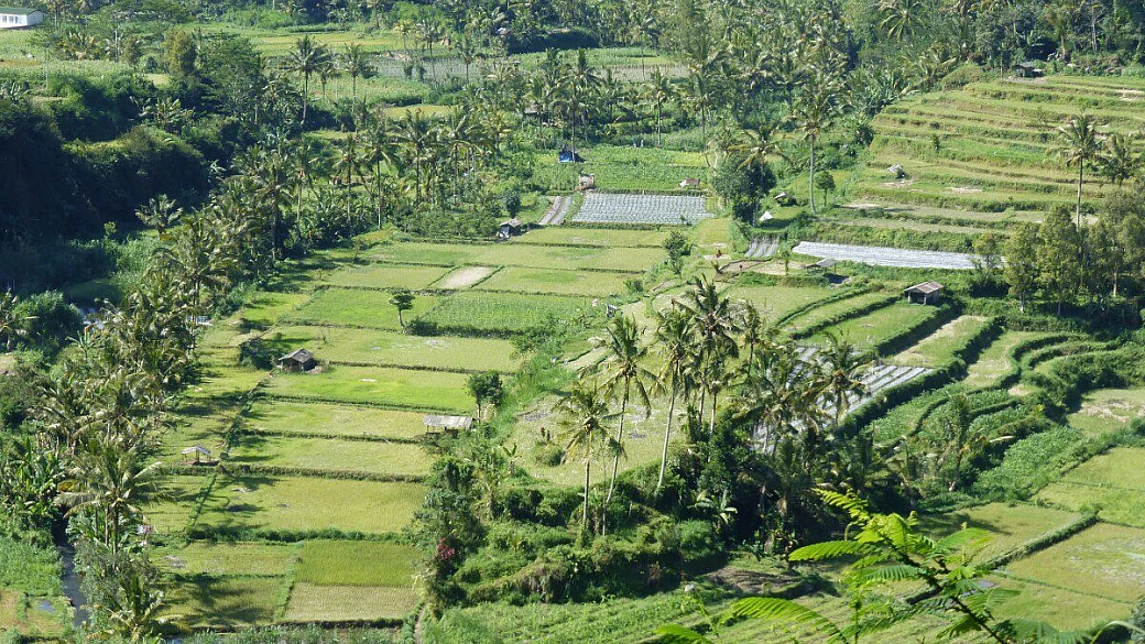 indonesia e singapore: la nostra prima volta in oriente