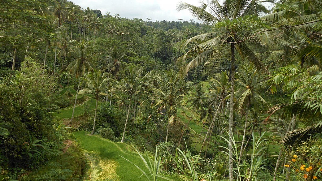 indonesia, le isole di giava, bali, flores e gili meno