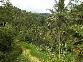 bali-region-f9pgy