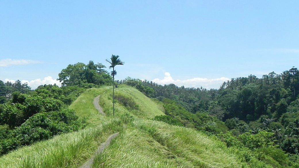 sumatra: into the wild