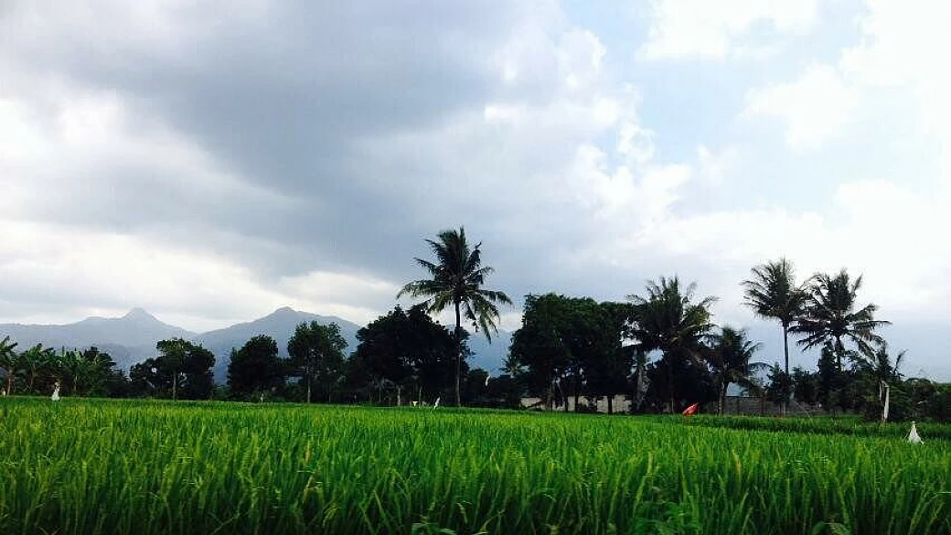 un mese in indonesia