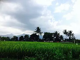 bali-region-tzghf