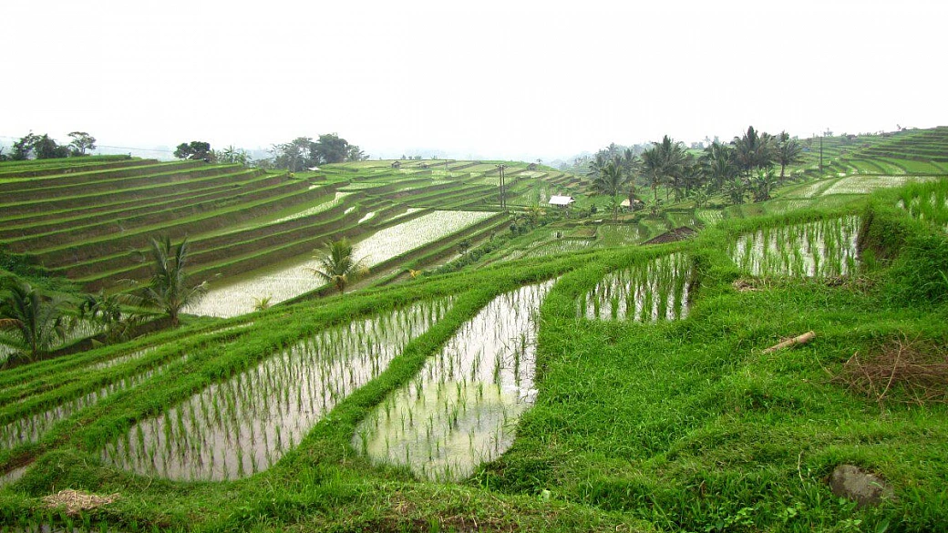 mangia, prega, ama...