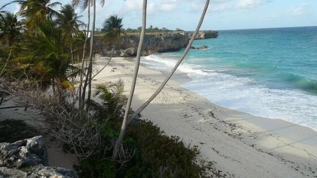 barbados 4