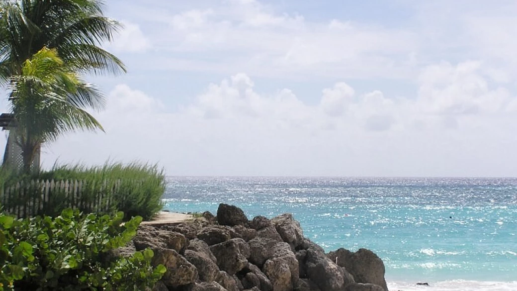 innamorati di barbados