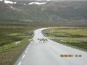 bergen-norvegia-b1yqp