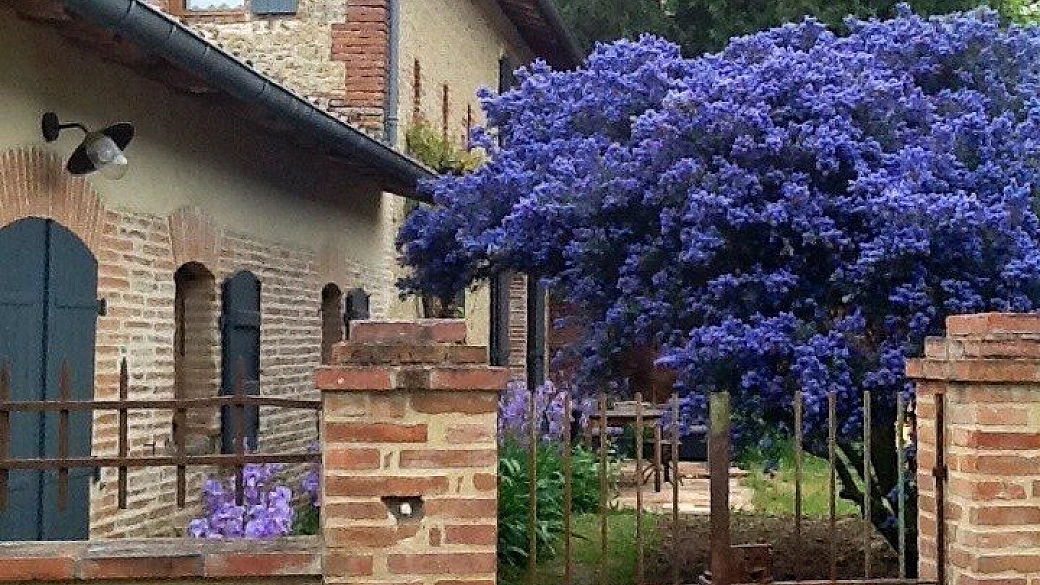 suggestioni sul canal du midi