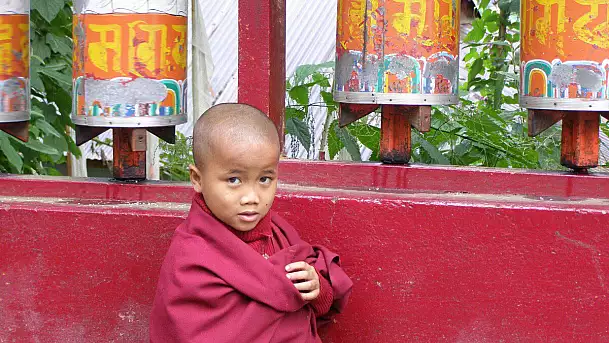 dal buddhismo ad alta quota alla dea kali, ovvero bhutan-sikkim-kolkata
