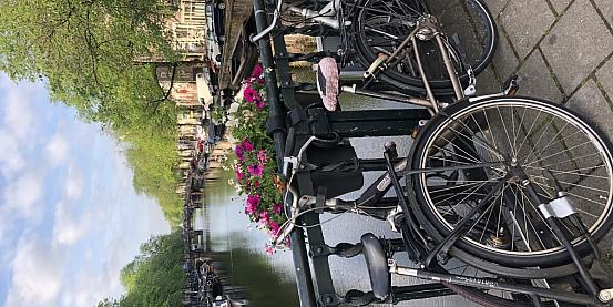 biciclettando ad amsterdam