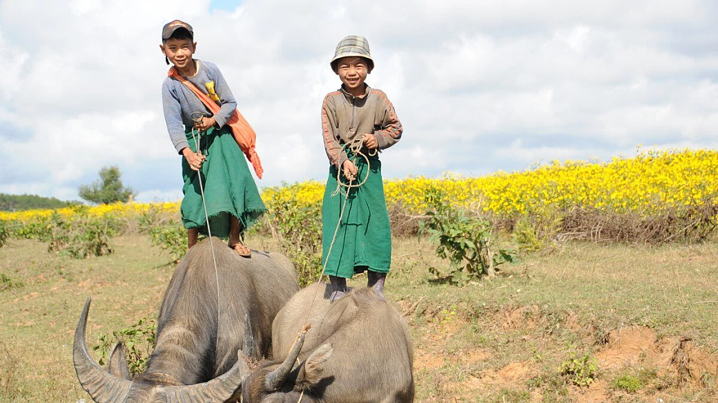 in viaggio col monsone birmano