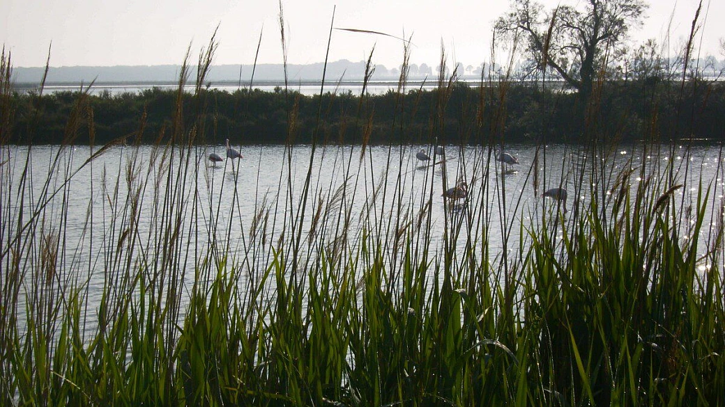 viaggio in provenza 2