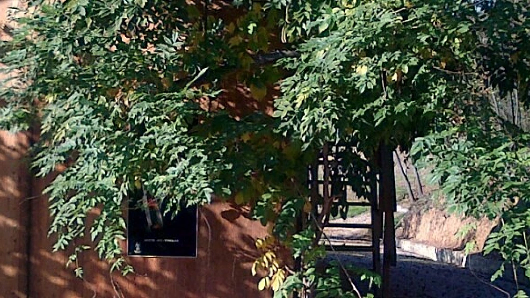 una blogger... per cibo e per vino!