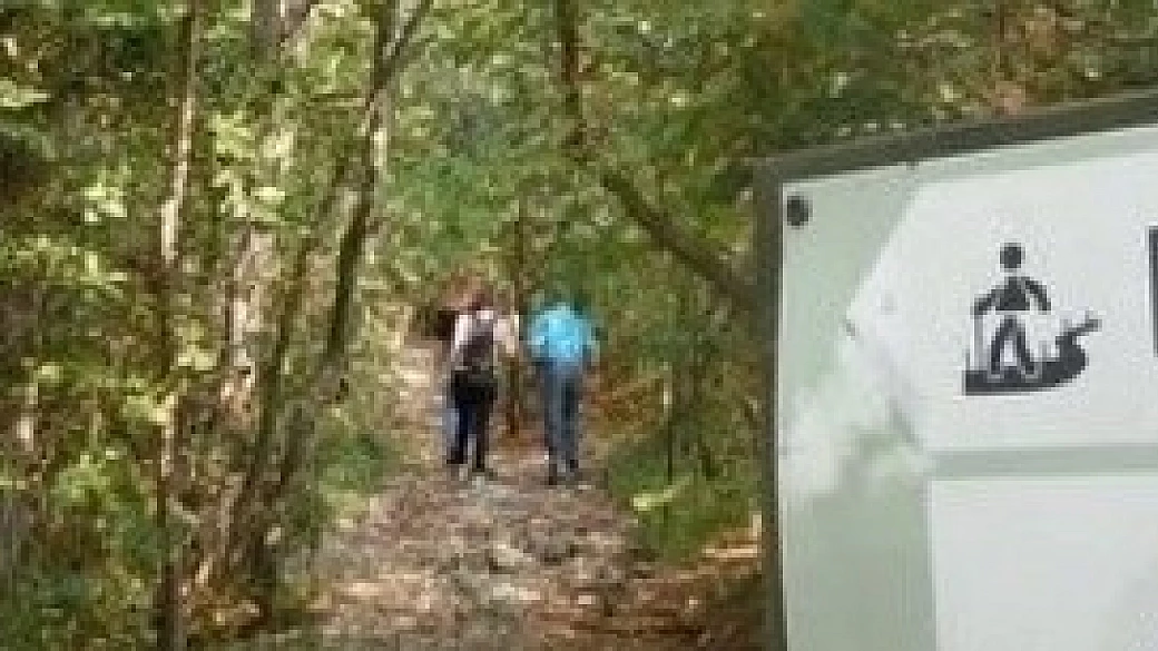 tra sogno e realtà in friuli venezia giulia