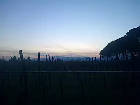 bloggerpercaso-gvkjn