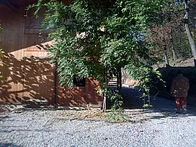 bloggerpercaso-hwaht