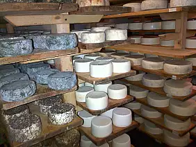 bloggerpercaso-jve54