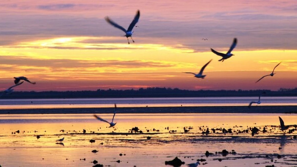 blogger per caso tra lagune e leggende