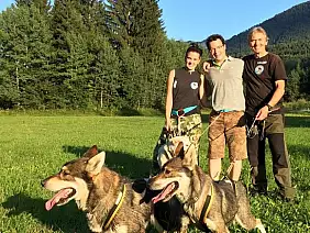 bloggerpercaso-phfj3