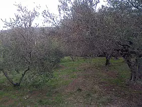 bloggerpercaso-s3jxa