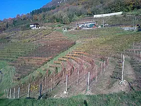 bloggerpercaso-vrg3h