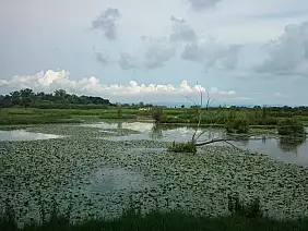 bloggerpercaso-xz5w5