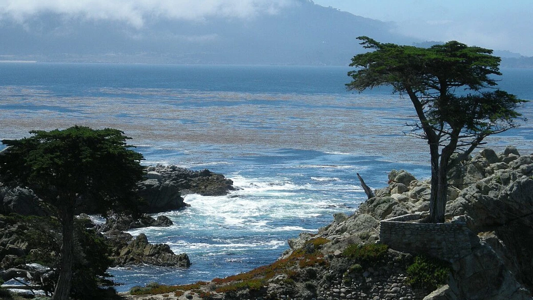 miami, new york, semplicemente usa