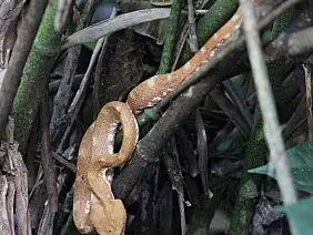 bocas-del-toro-3c3aa