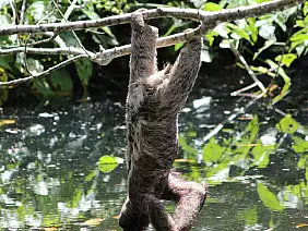 bocas-del-toro-bn8e4