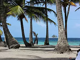 bocas-del-toro-zygn4