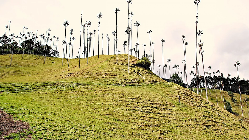 colombia, una piacevole sorpresa