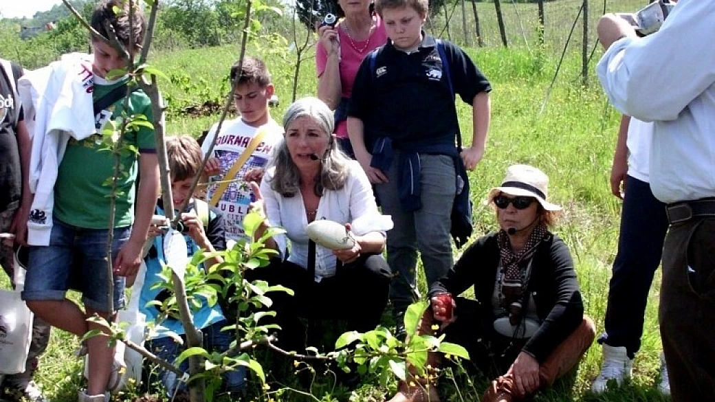 diario di una passeggiata slow