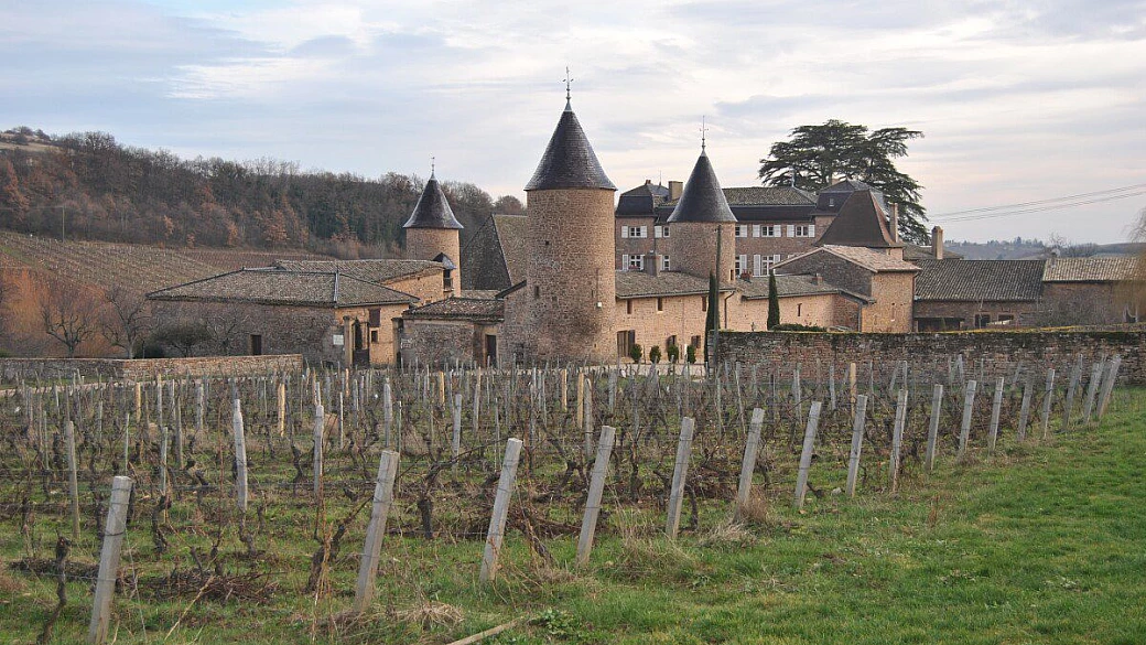 a spasso tra i vigneti francesi