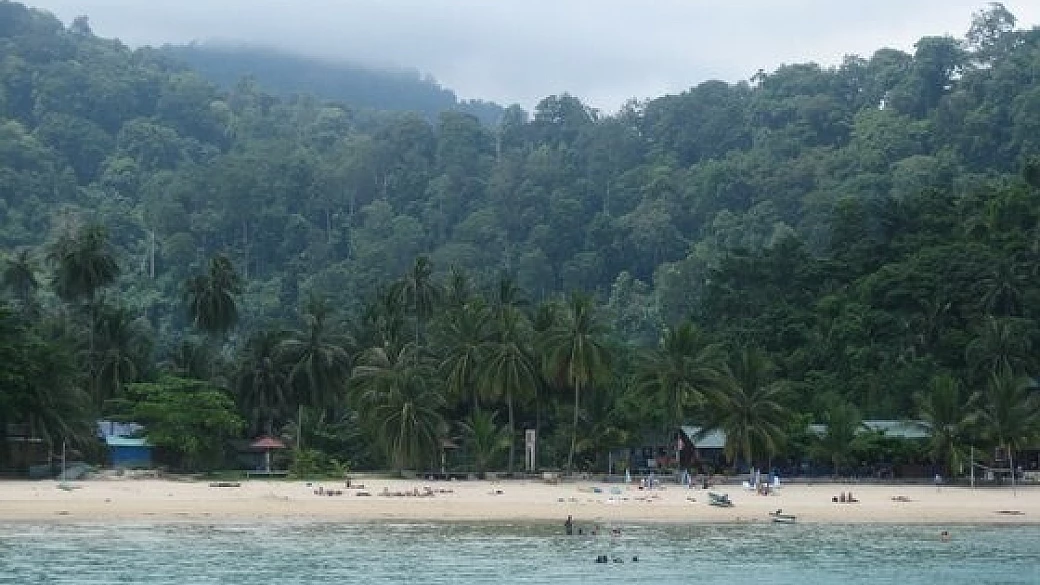 mangia, viaggia, ama... malesia e borneo