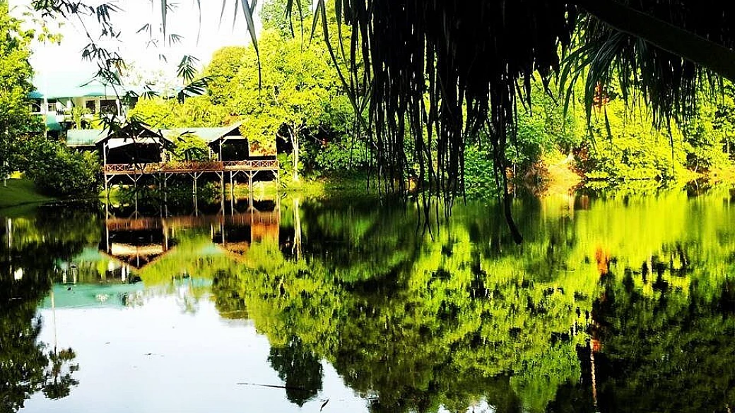 dalla natura del borneo ai grattacieli di hong kong