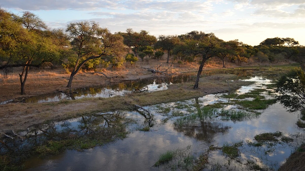 botswana: un viaggio nella natura selvaggia a 360°