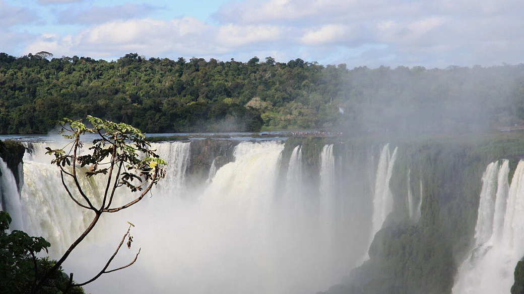 in brasile fai da te