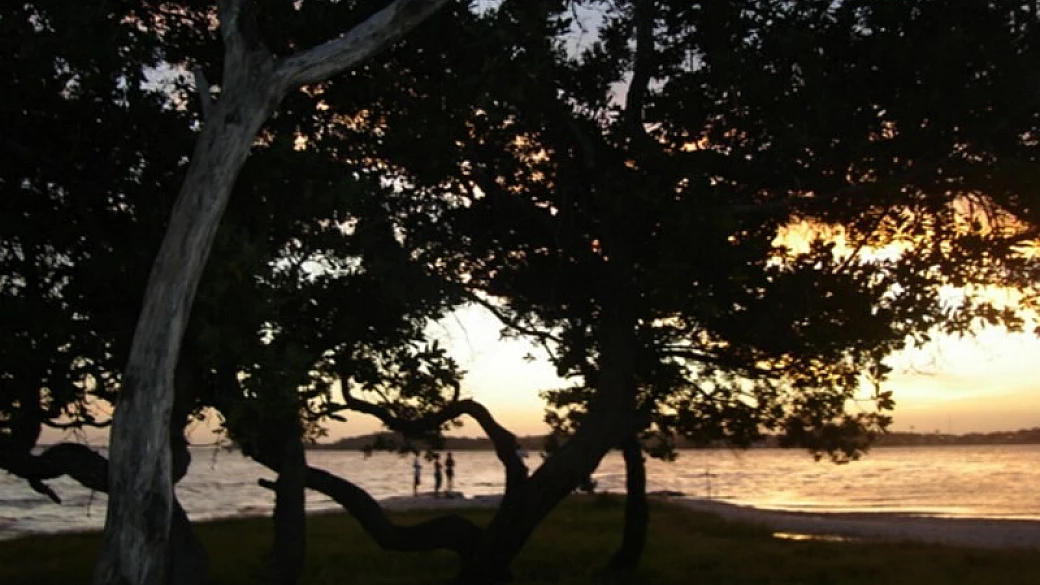 viaggio in sud america di 2 parte: brasile