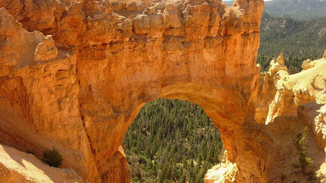 nyc + orlando fai date, tutto ok!