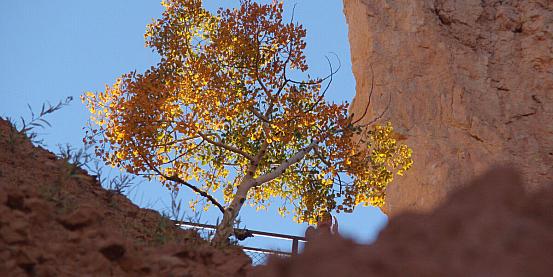 l'autunno al bryce canyon