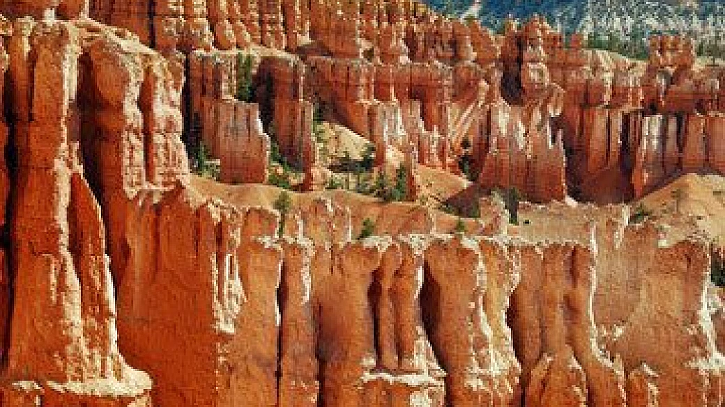 usa: ovest selvaggio