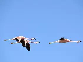 buenos-aires-passeggiata-fm9fm