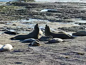 buenos-aires-passeggiata-kmrnw