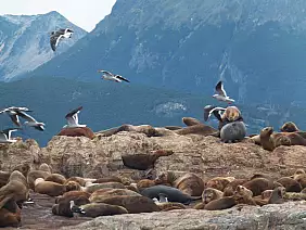 buenos-aires-region-vd2zy